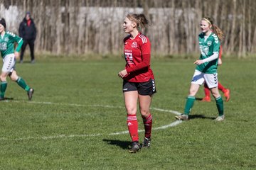 Bild 136 - F SG NieBar - IF Stjernen Flensborg : Ergebnis: 4:1